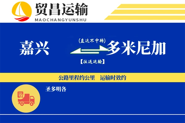 嘉兴到多米尼加物流专线 | 空运海运双清包税 | 门到门国际物流服务